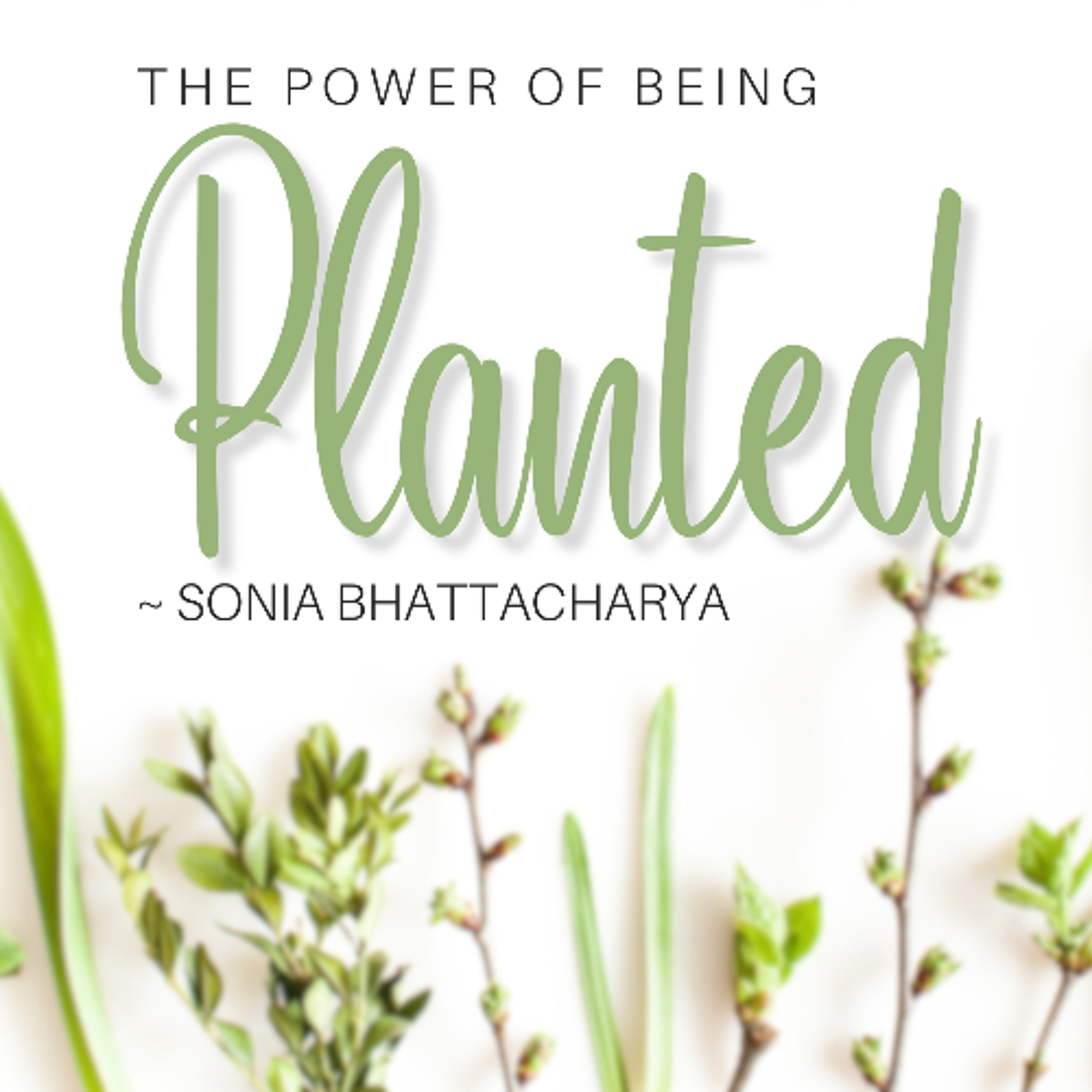 The Power of being Planted - Sonia Bhattacharya episode artwork