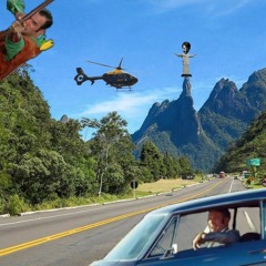 Zelig - Helico Chase
