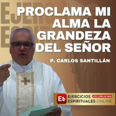 Proclama mi alma la grandeza del Señor: La Visitación - P Carlos Santillán