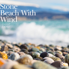 수험생의 긴장을 풀어주는 파도 소리 Sound of a Wave that Relieves the Examinee's Tension