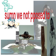 “sumn we not pposed to”