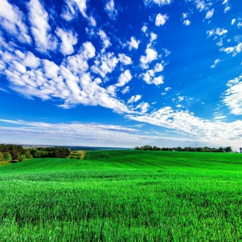 Dulinadulio audio background (FREE DOWNLOAD)