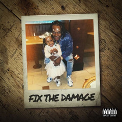 FIX THE DAMAGE