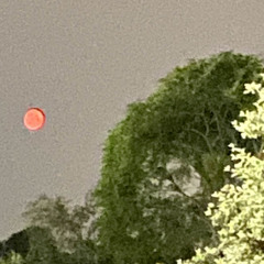 vampireboudiour