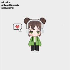 wilo wilde - all these little words (shdow. remix)