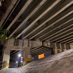 Concrete Jungle #3 - ARC