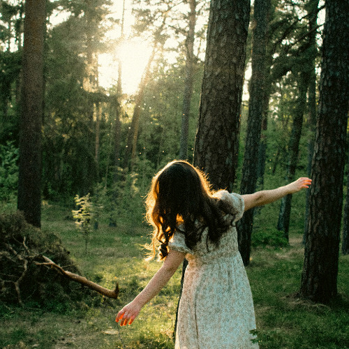 In The Forest Fair