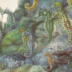🐙🦐🐡🐠🐋🐬🦭🦀