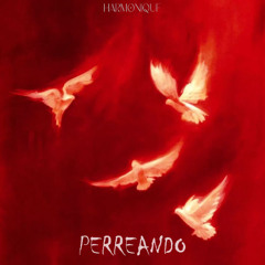 Berat OZ , Orhan Aydin - PERREANDO (EXTENDED MIX)