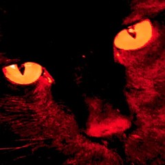 Animal Eyes (demo)