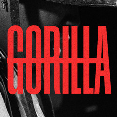 PREMIERE : GORILLA [CALAMAR CREW]