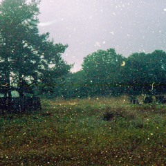 Parfois et aussi hier #1