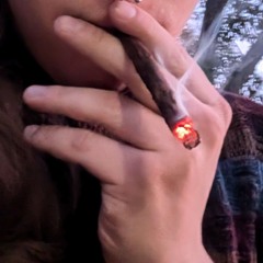 honeydipped