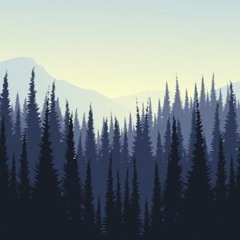 Terre Inconnue [Edit live track]