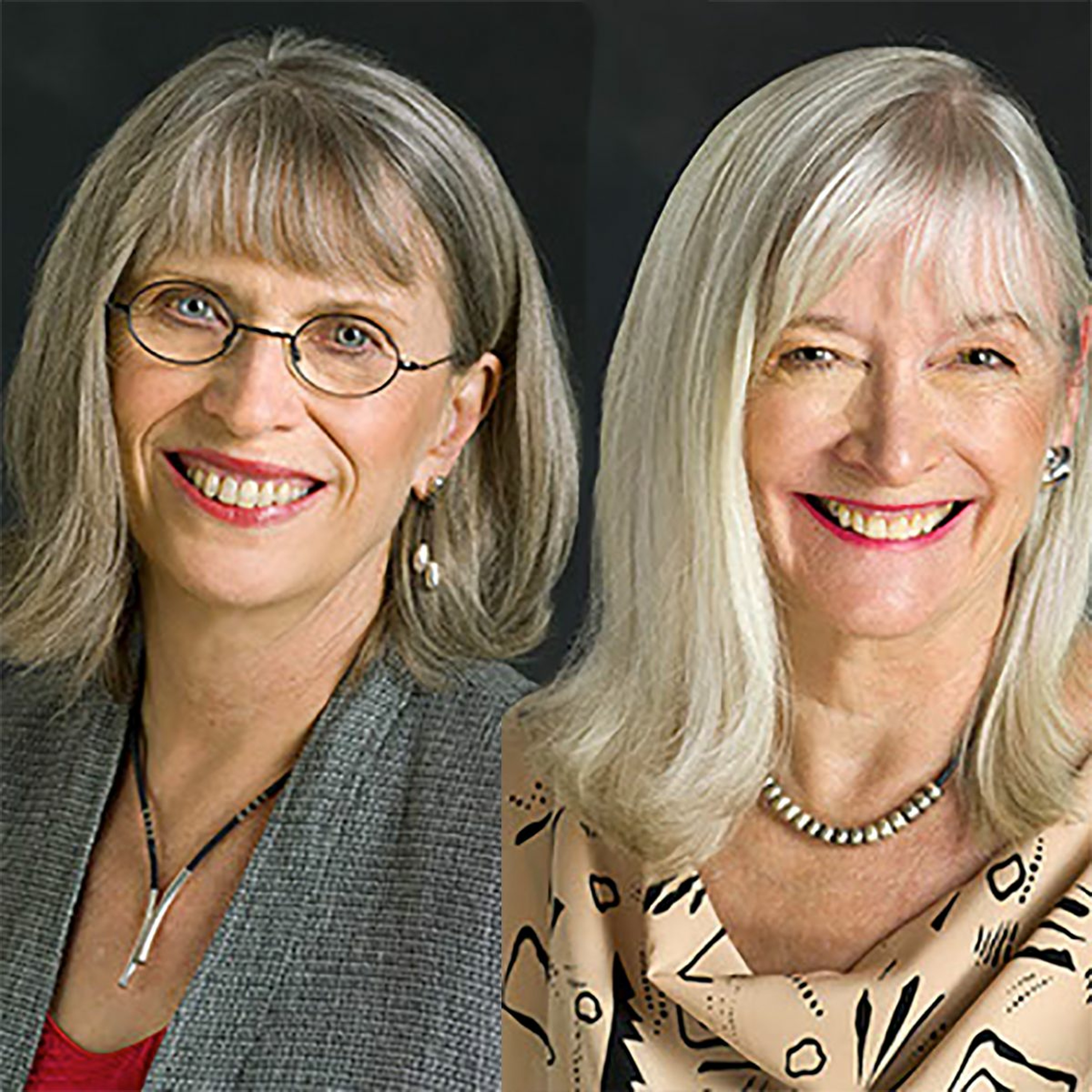 Marilyn Darling and Heidi Sparkes Guber on Emergent Learning episode artwork