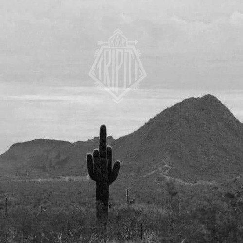 Toben - Live at the Kap