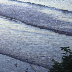 Idle Waves