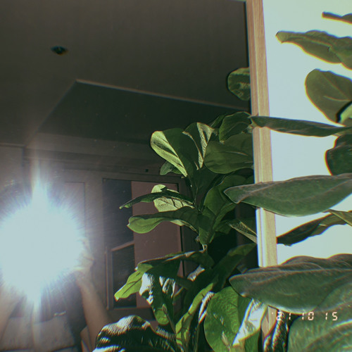 지금을 한 장에 담는다면