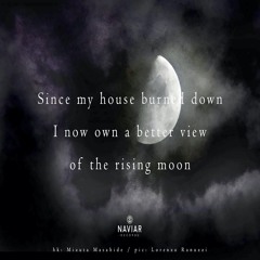 haiku #370: Since my house burned down / I now own a better view / of the rising moon