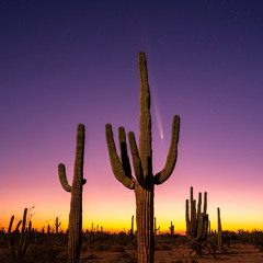 ROOM SESSIONS #2 | INDIE DANCE EDC MÉXICO PRE