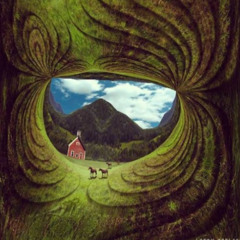 Polar Energy - Trip Time