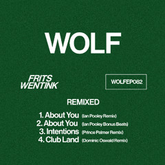 Frits Wentink - Remixed (WOLFEP082) (Snippets)
