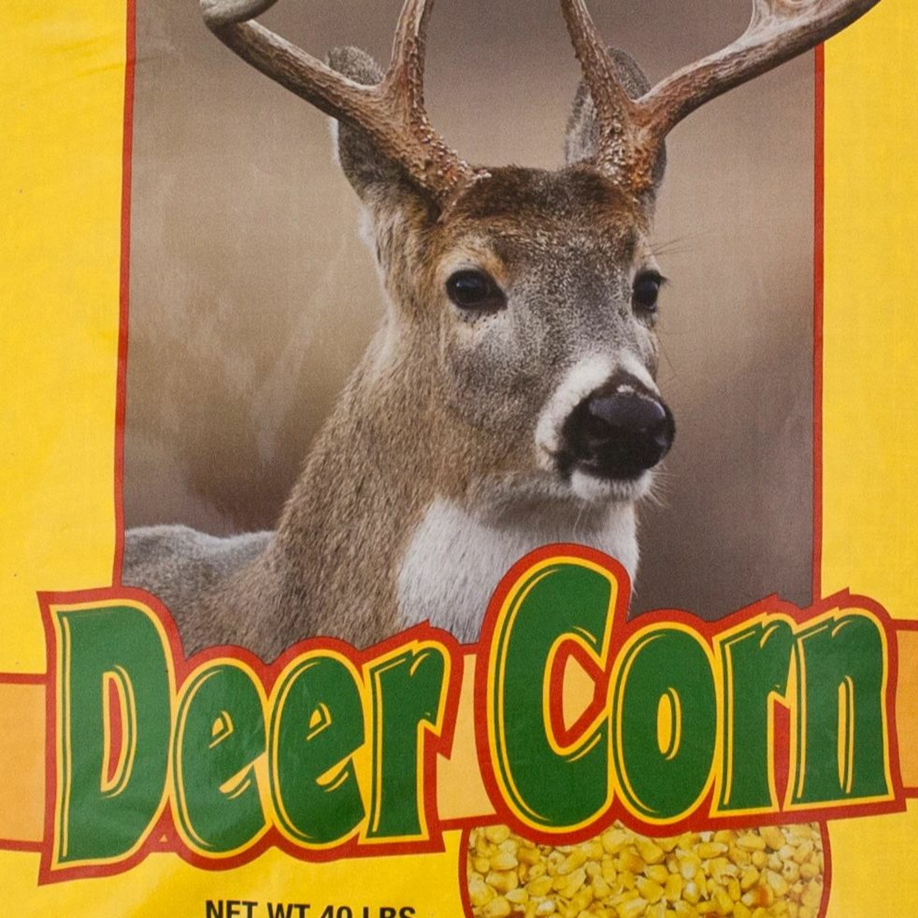 Hot Topics & Hunt Headlines