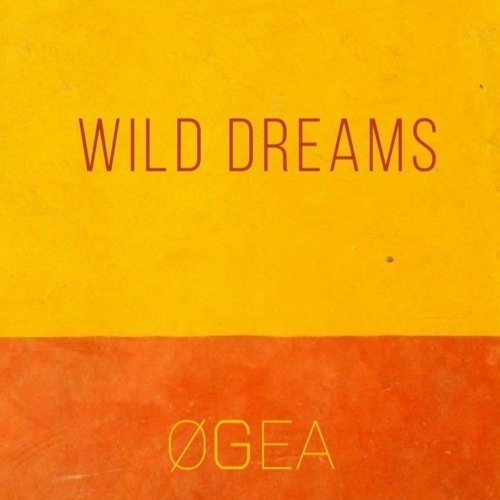 Wild Dreams.mp3