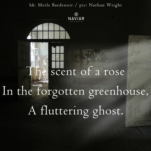 a fluttering (naviarhaiku483)