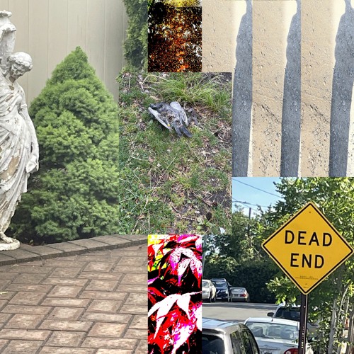 Sophomore With Childboy