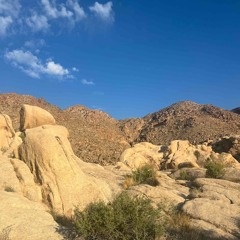 Desert set 2025