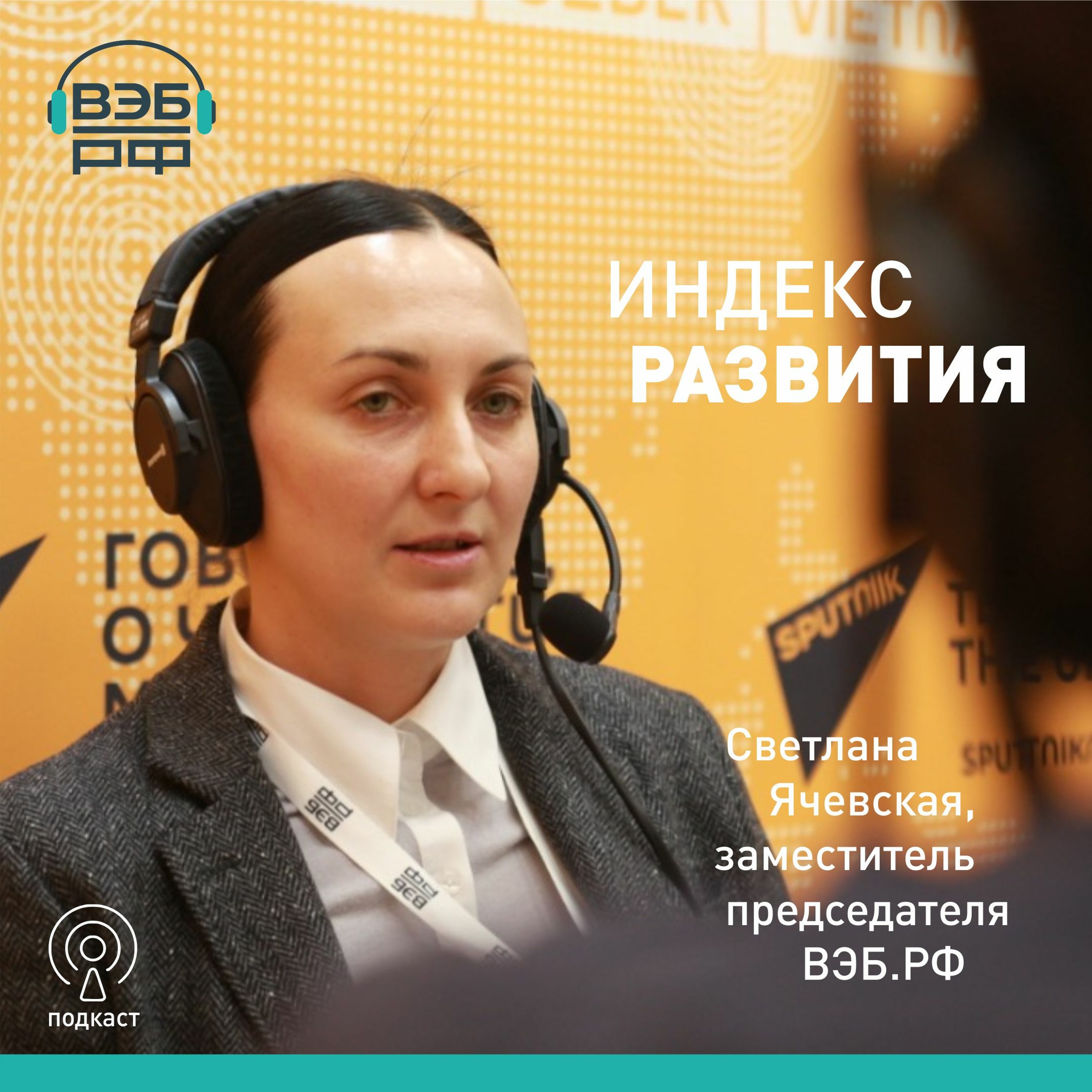 Светлана Ячевская о том, как привлечь частные инвестиции