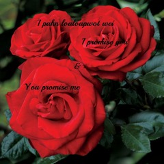 I Pahn Lolopwot Wei (I Promise You & You Promise Me)