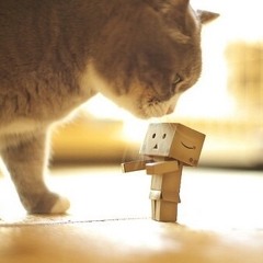 Mindset (boxxy)