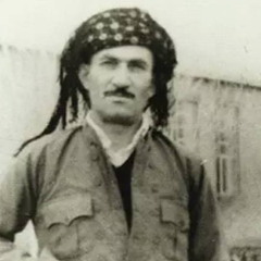Remix Hasan Zirak Mitarsam Bemiram