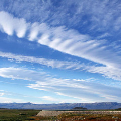 Chill thing i make on mondays