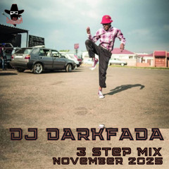 3 Step Mix November 2025