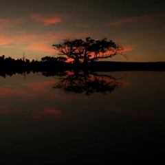 Siblings Editions Sunset Horn.(original)