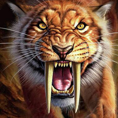 sabertooth