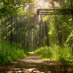 Forest Land