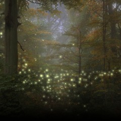 Never Truly Lost