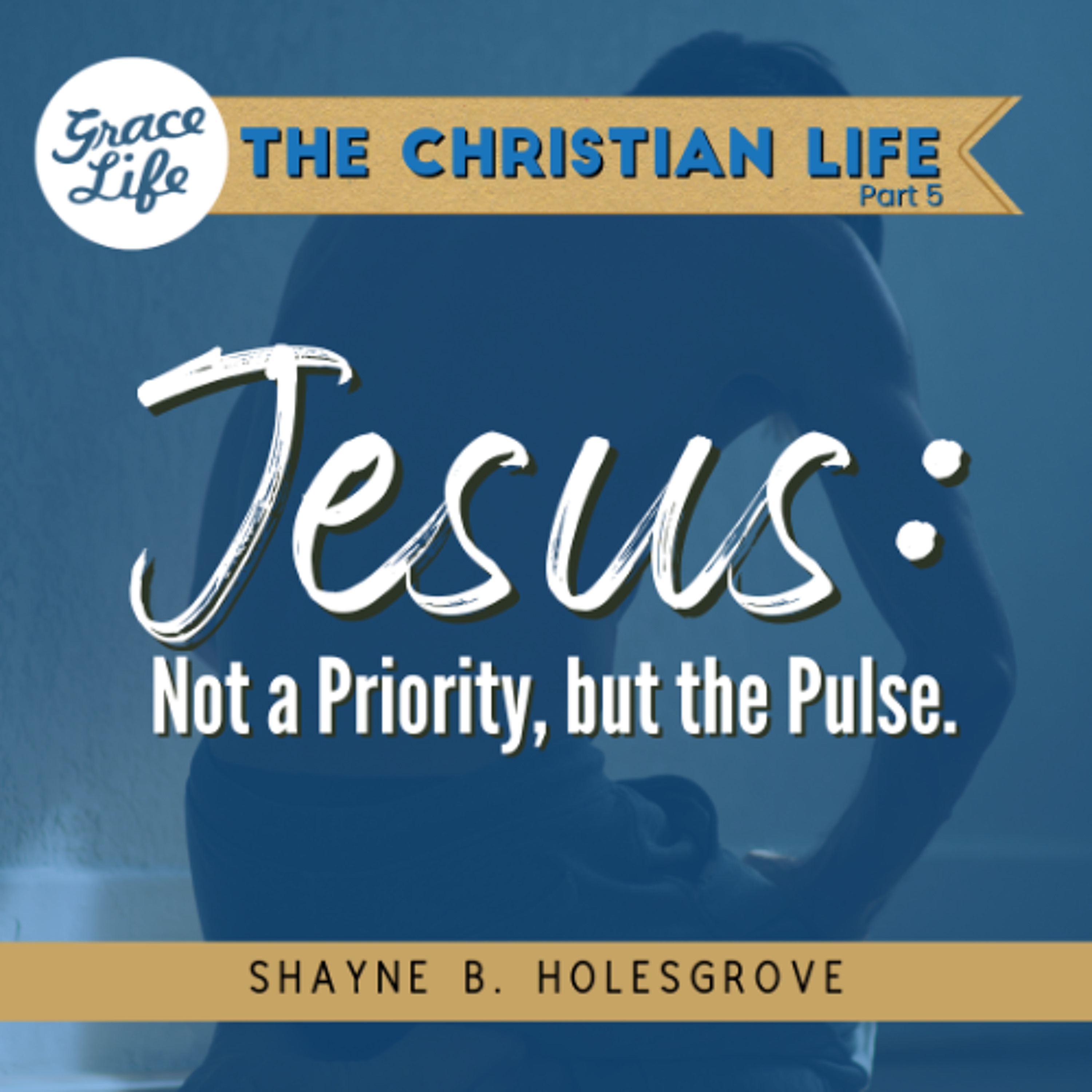 Jesus: Not a Priority, but the Pulse - The Christian Life Part 4  - Shayne Holesgrove (Rondebosch)