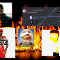 La diarrea del pare por la lactosa