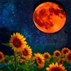 After the Strawberry Moon.mp3 (1).m4a