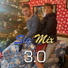 SIG MIX 3.0