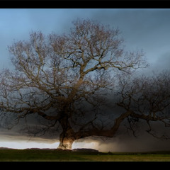 the Time's Lament