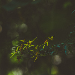 [rains]