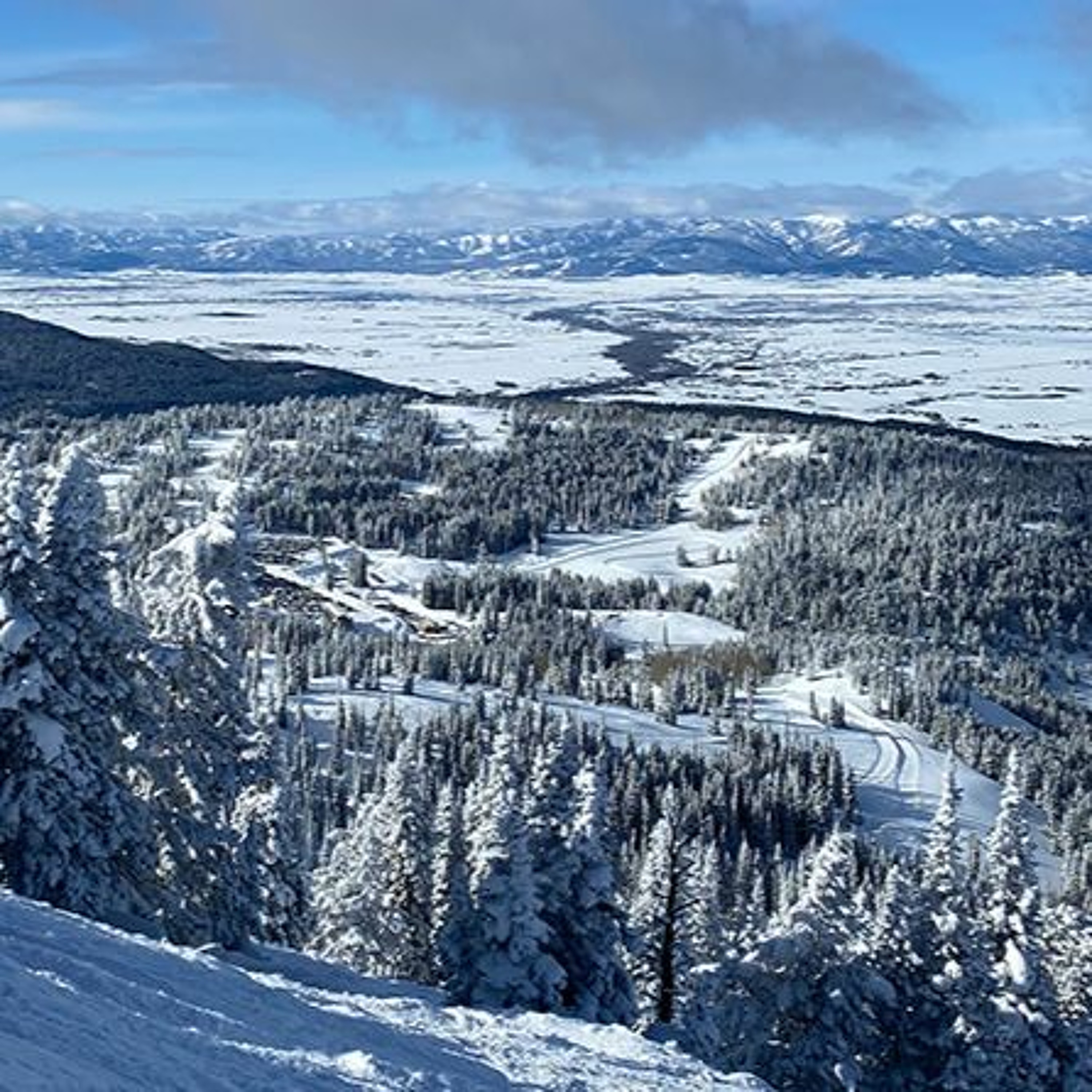 News Brief July 19 | Police Arrest Man for Jackson Crime Spree, Teton Counties to Discuss Targhee episode artwork