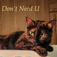 Dont Need U