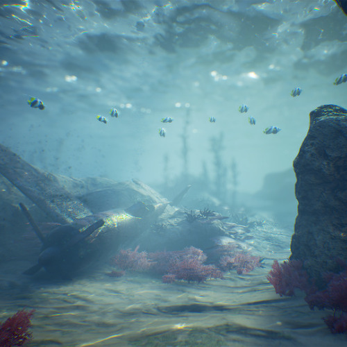 Nas.Ma - Oceanfloor Occulus